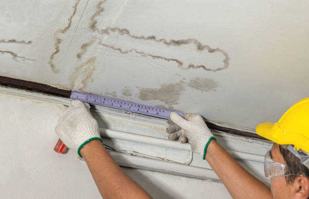 Reliable Water Damage contractor in Wilmot, OH by Water Damage Irwin